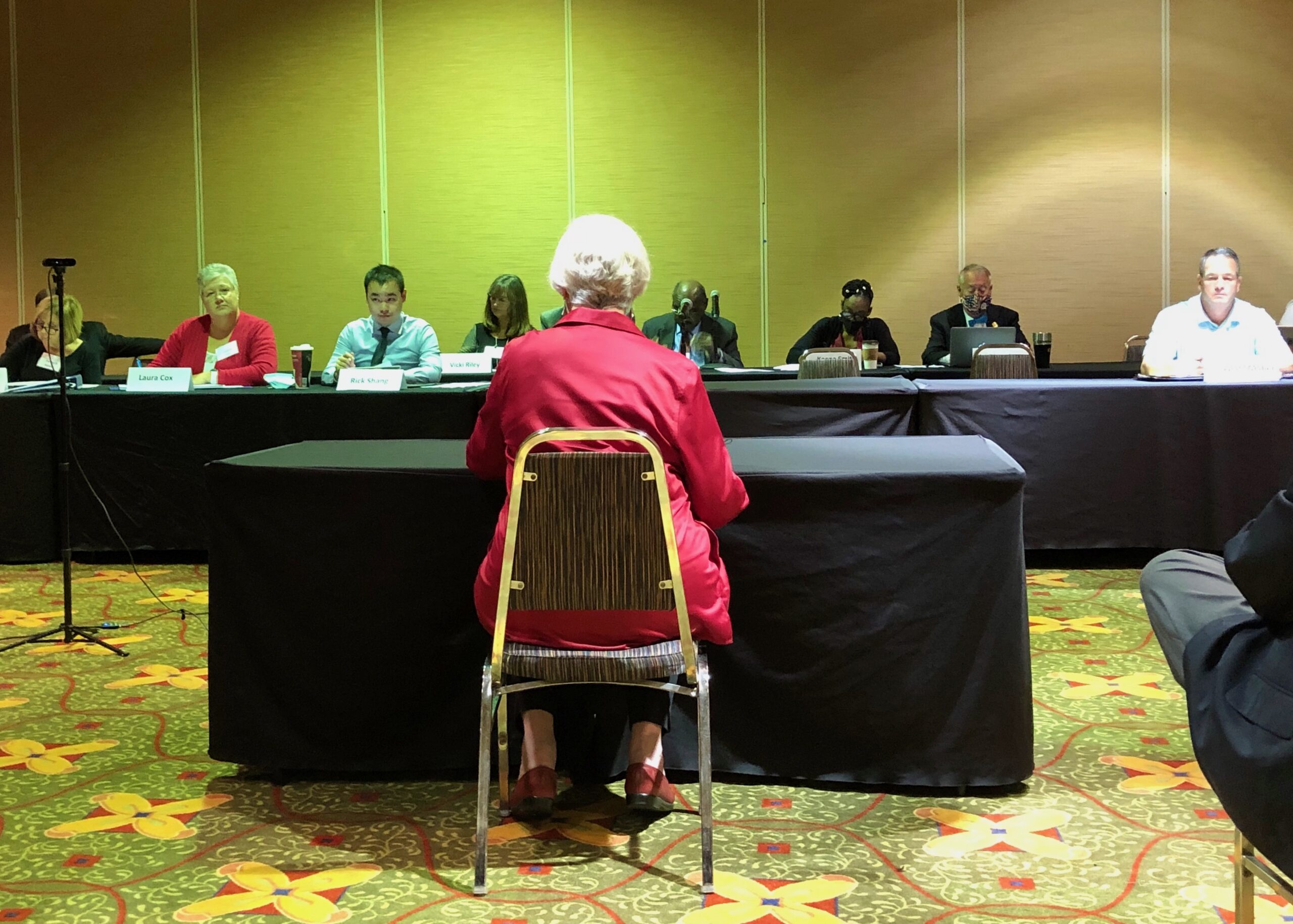 League of Women Voters SWMO Advocacy